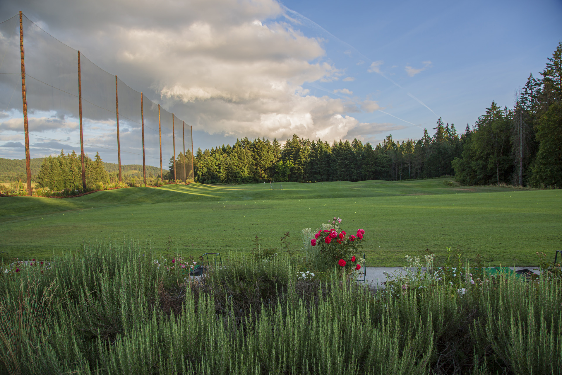 Course Photos Chehalem Glenn Golf Course