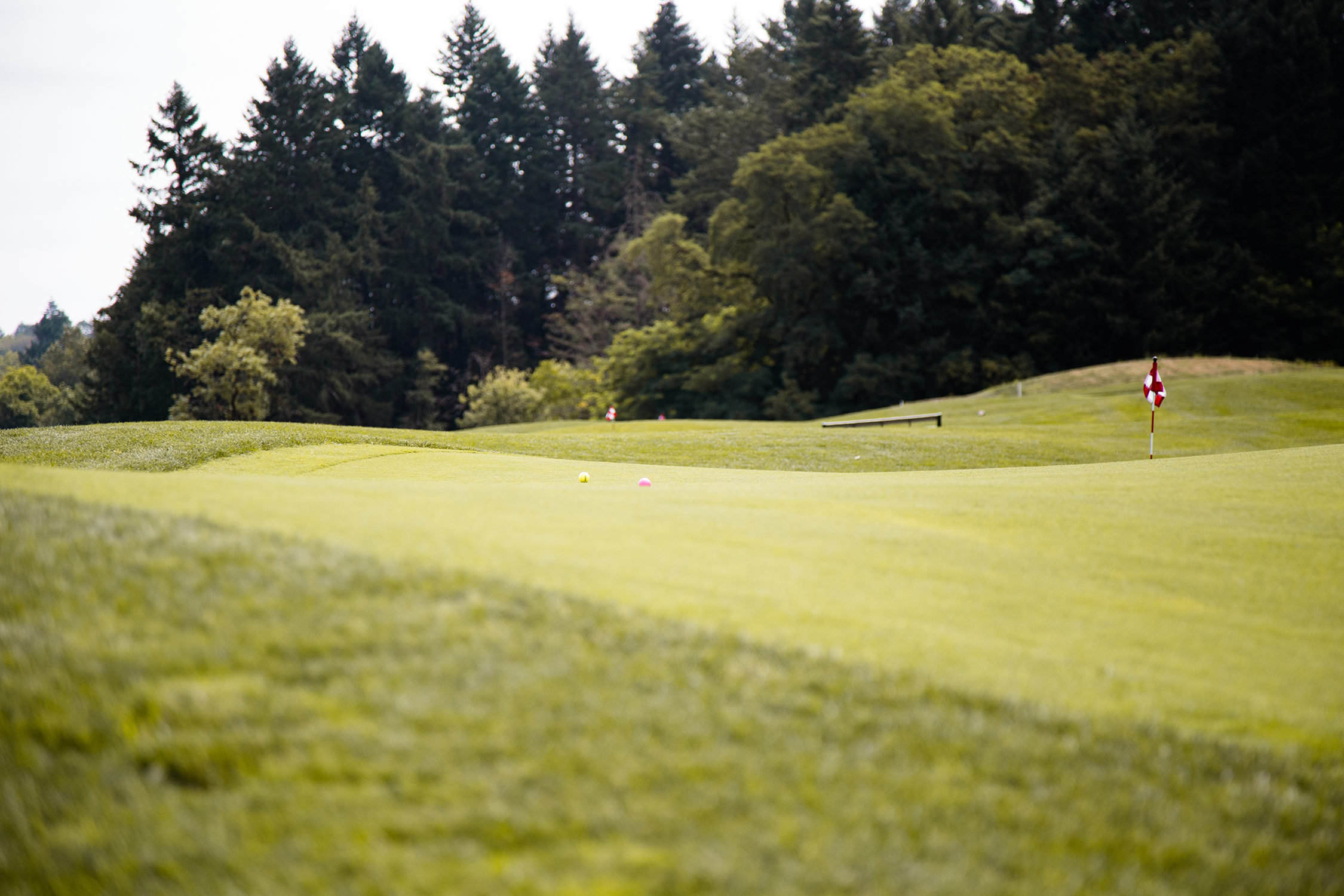 Course Photos Chehalem Glenn Golf Course